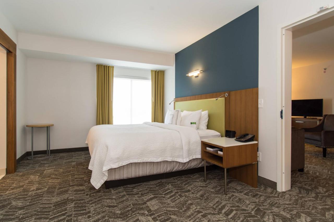Springhill Suites By Marriott Charlotte Ballantyne Dış mekan fotoğraf